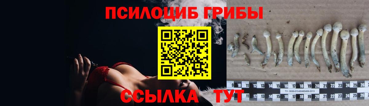 Псилоцибиновые грибы Psilocybine cubensis  дарнет шоп  Галлюциногенные грибы ЛСД  Чита  Вход с VPN 
